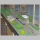 vsestary_06