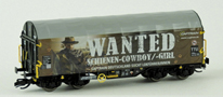 [Soupravy] &rarr;&nbsp;[N�kladn�]&nbsp;&rarr;&nbsp;51134: set dvou plo�inov�ch voz� s odsuvnou plachtou „WANTED“ a „Captrain“